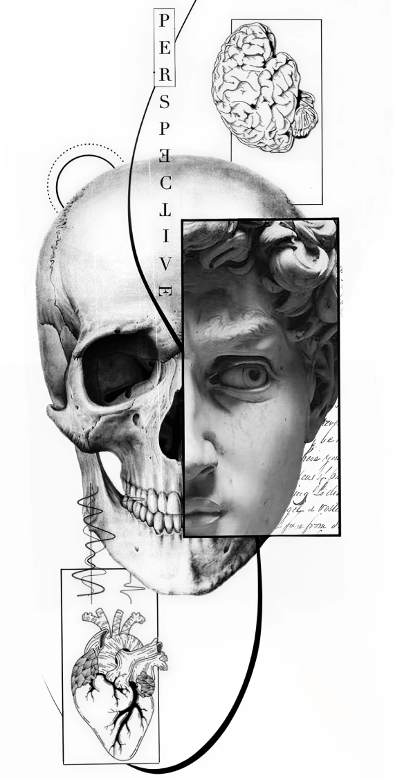 Perspective Skull Temporary Tattoo – tatuaj temporar 20x10 cm